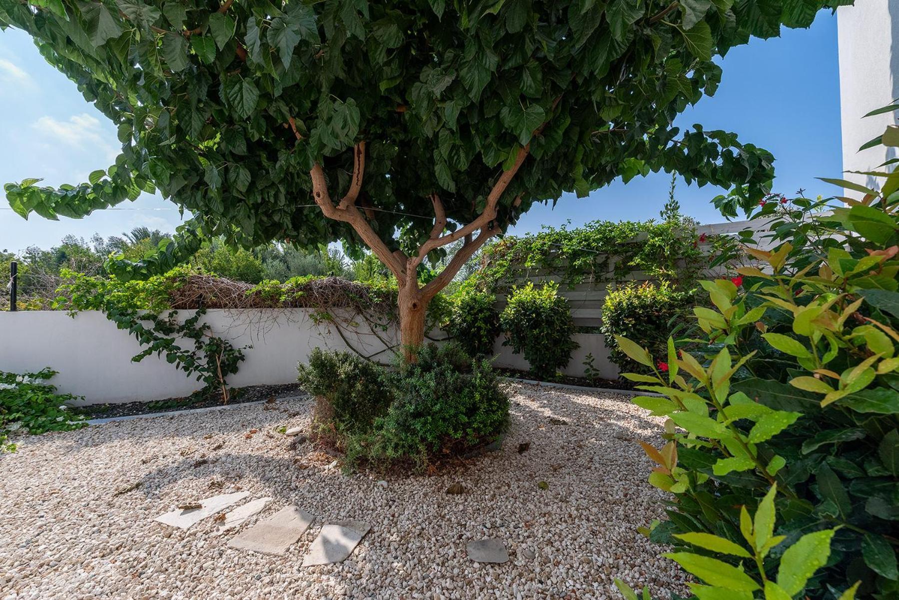 Blue Diamond Beach Villas Paphos Exterior foto